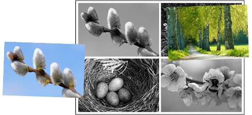 Kevään merkkejä, 2x2 kuvaa.