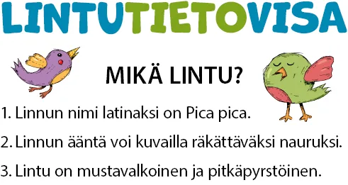 Lintutietovisan kolme vihjettä.