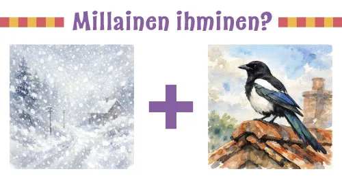 Millainen ihminen? Ensimmäisessä kuvassa on lumisadetta ja toisella kuvassa harakka tiilikatolla.