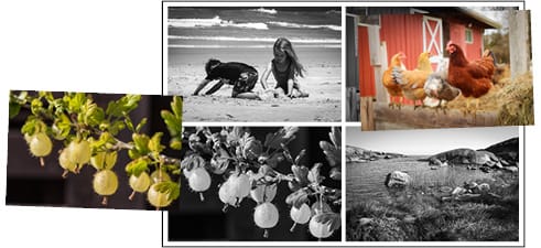 Tosi helpon kesäloton kuva. 