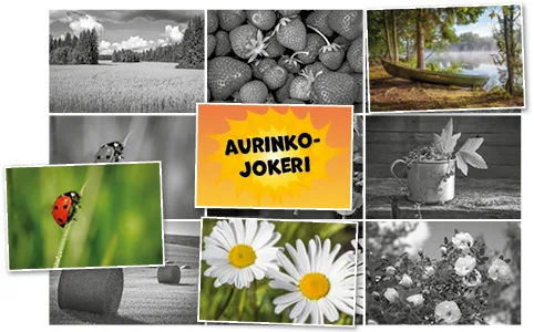 Helpon kesäloton kuva. Yhteensä 9 kuvaa.