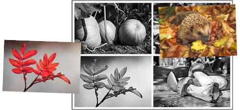 Syyslotto 2x2 kuvaa.