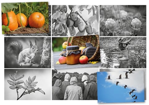 Syyslotto 3x3 kuvaa.