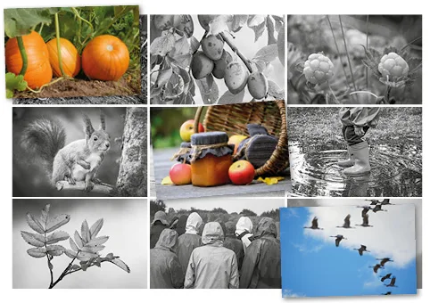 Syyslotto 3x3 kuvaa.