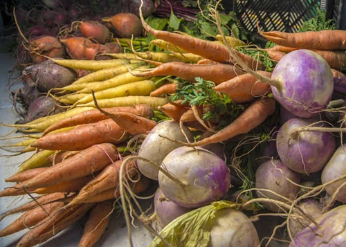 Syksyn satoa, juureksia