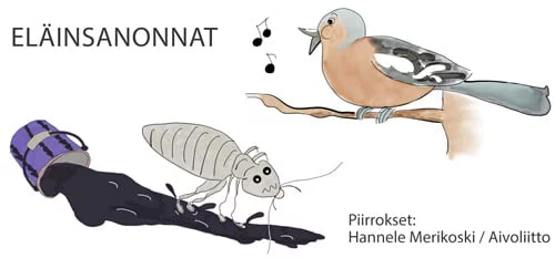 Eläinsanonnat. Kuvat Hannele Merikoski.