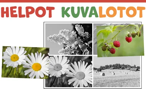 Helpot kuvalotot. Kesäisiä kuvia.