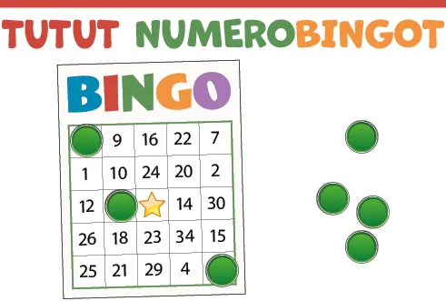 Tutut numerobingot. Bingoruudukko numeroin ja pelimerkkejä.