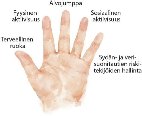 Kämmen, jossa 5 sormea pystyssä. Soormien vieressä tekstit: terveellinen ruoka, fyysinen aktiivisuus, aivojumppa, sosiaalinen aktiivisuus, sydän- ja verisuonitautien riskitekijöiden hallinta.