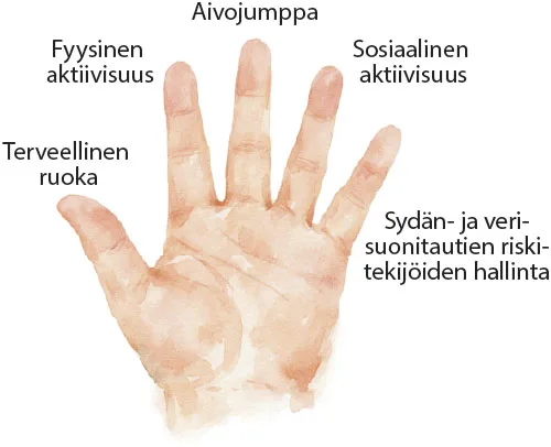 Kämmen, jossa 5 sormea pystyssä. Soormien vieressä tekstit: terveellinen ruoka, fyysinen aktiivisuus, aivojumppa, sosiaalinen aktiivisuus, sydän- ja verisuonitautien riskitekijöiden hallinta.